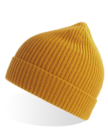 Andy Beanie (AT103)