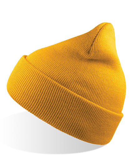 Wind Beanie (AT703)