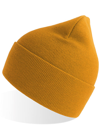Pure Beanie (AT805)