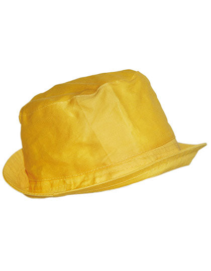 Sonnenhut (C100)