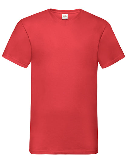 Valueweight V-Neck T (F270)