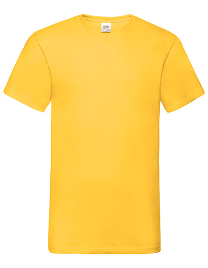Valueweight V-Neck T (F270)