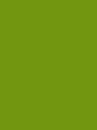 Polyneon 40 Green (5.000 m) (MD400R)