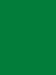 Polyneon 40 Green (5.000 m) (MD400R)