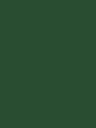 Polyneon 40 Green (5.000 m) (MD400R)