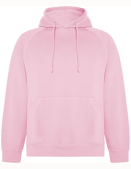 Vinson Organic Hooded Sweatshirt (RY1074)