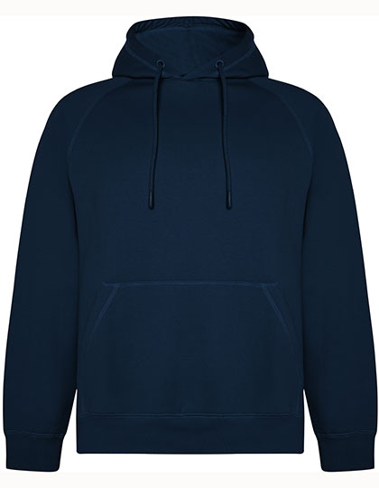 Vinson Organic Hooded Sweatshirt (RY1074)
