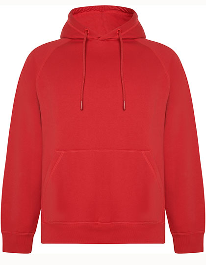 Vinson Organic Hooded Sweatshirt (RY1074)