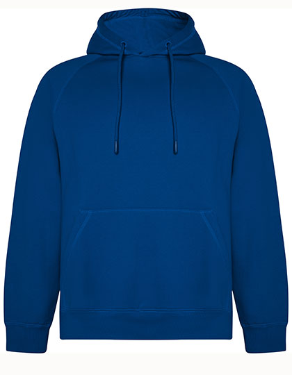 Vinson Organic Hooded Sweatshirt (RY1074)