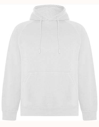 Vinson Organic Hooded Sweatshirt (RY1074)