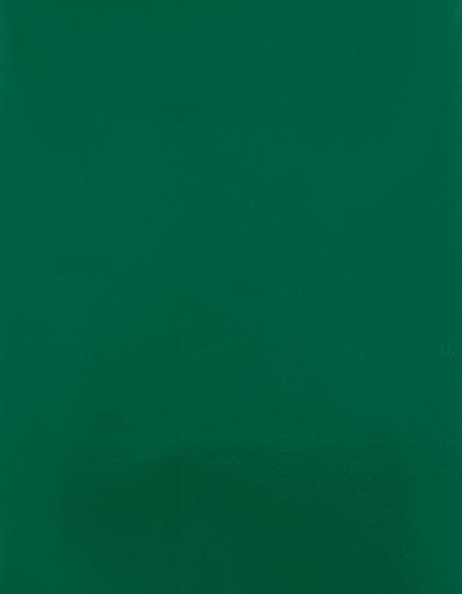 CAD-CUT® Silicone 100 (SA910)