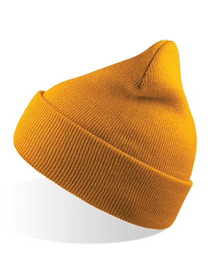Wind Beanie (AT703)