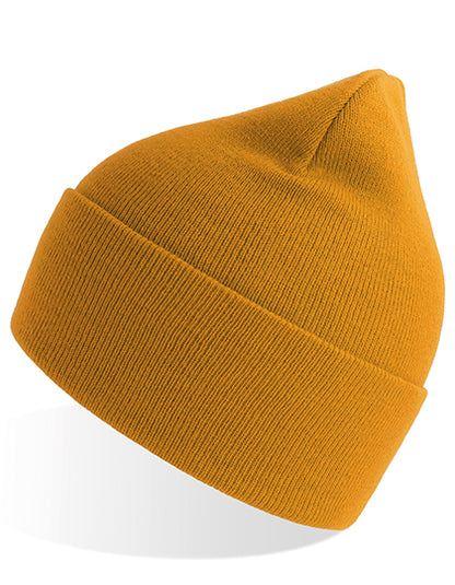 Pure Beanie (AT805)