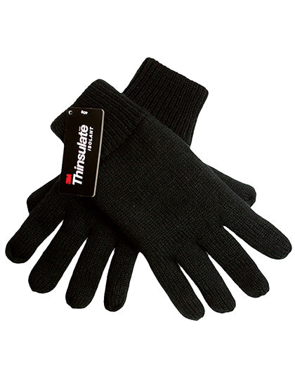 Thinsulate Gloves (C1869)
