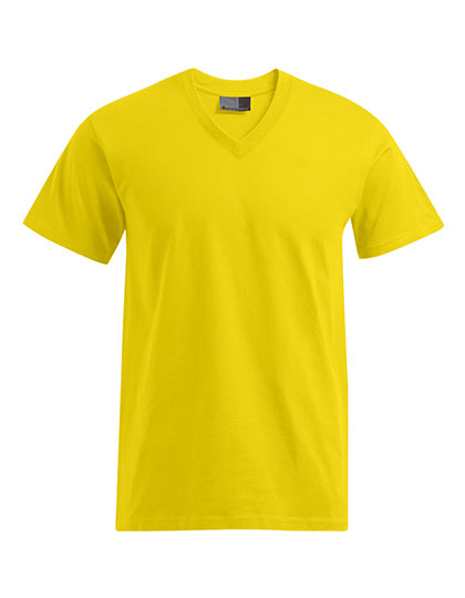 Premium V-Neck-T (E3025)