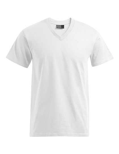 Premium V-Neck-T (E3025)