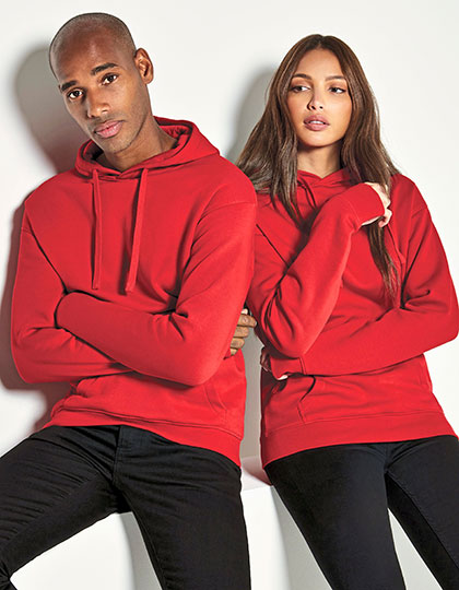 Regular Fit Hoodie (K333)