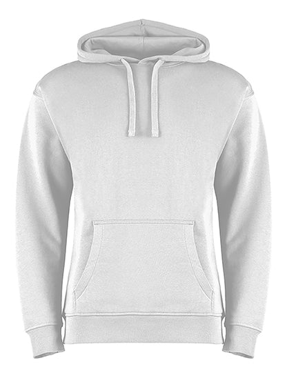 Regular Fit Hoodie (K333)
