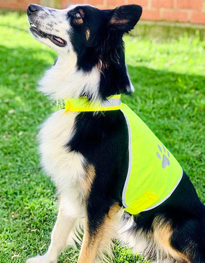 Stretchy Hi-Vis Safety Vest For Dogs Buenos Aires (KX104)
