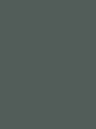 Polyneon 40 Green (5.000 m) (MD400R)