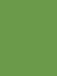 Polyneon 40 Green (5.000 m) (MD400R)