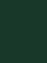 Polyneon 40 Green (5.000 m) (MD400R)