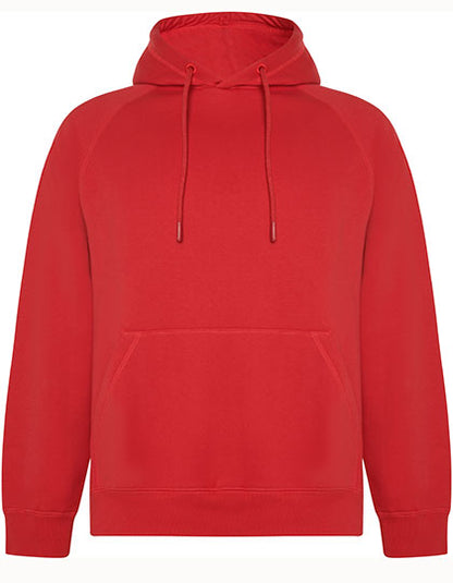 Vinson Organic Hooded Sweatshirt (RY1074)