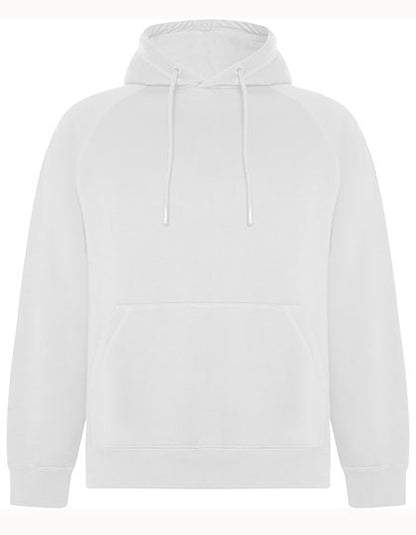Vinson Organic Hooded Sweatshirt (RY1074)