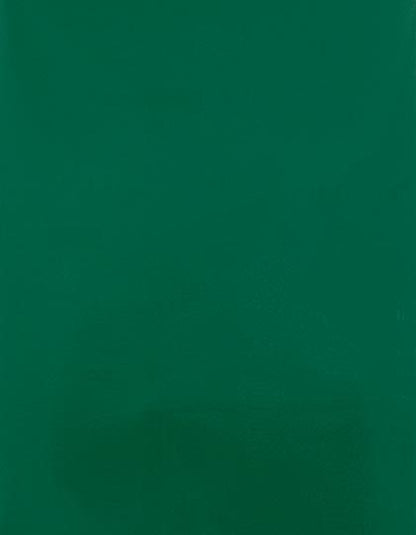 CAD-CUT® Silicone 100 (SA910)