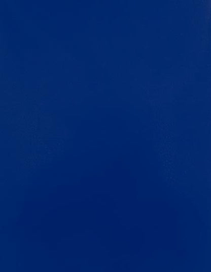 CAD-CUT® Silicone 100 (SA910)